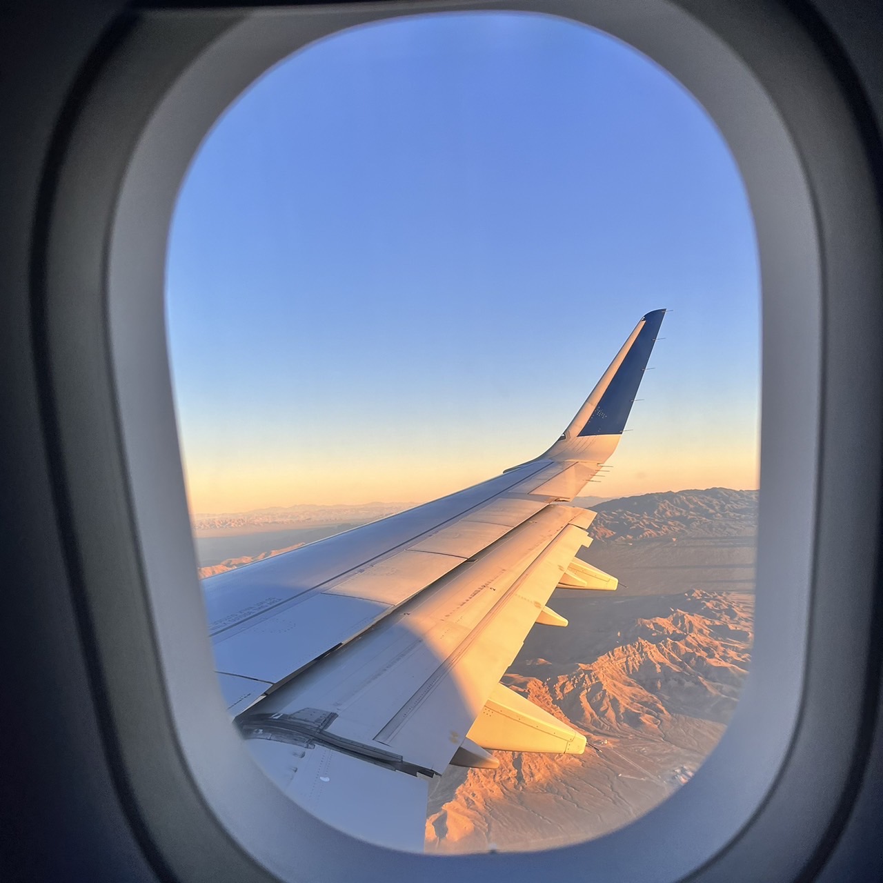旅と脳