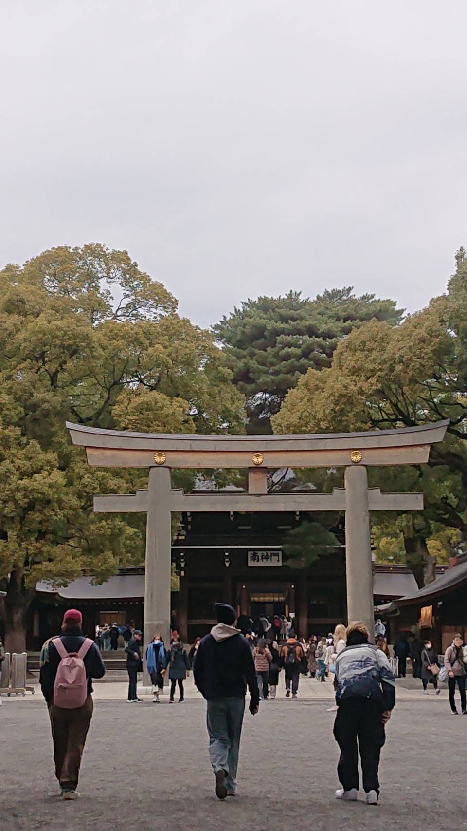 「都心の中の森」