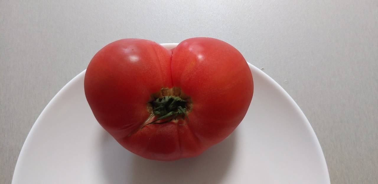 「夏野菜　トマト」